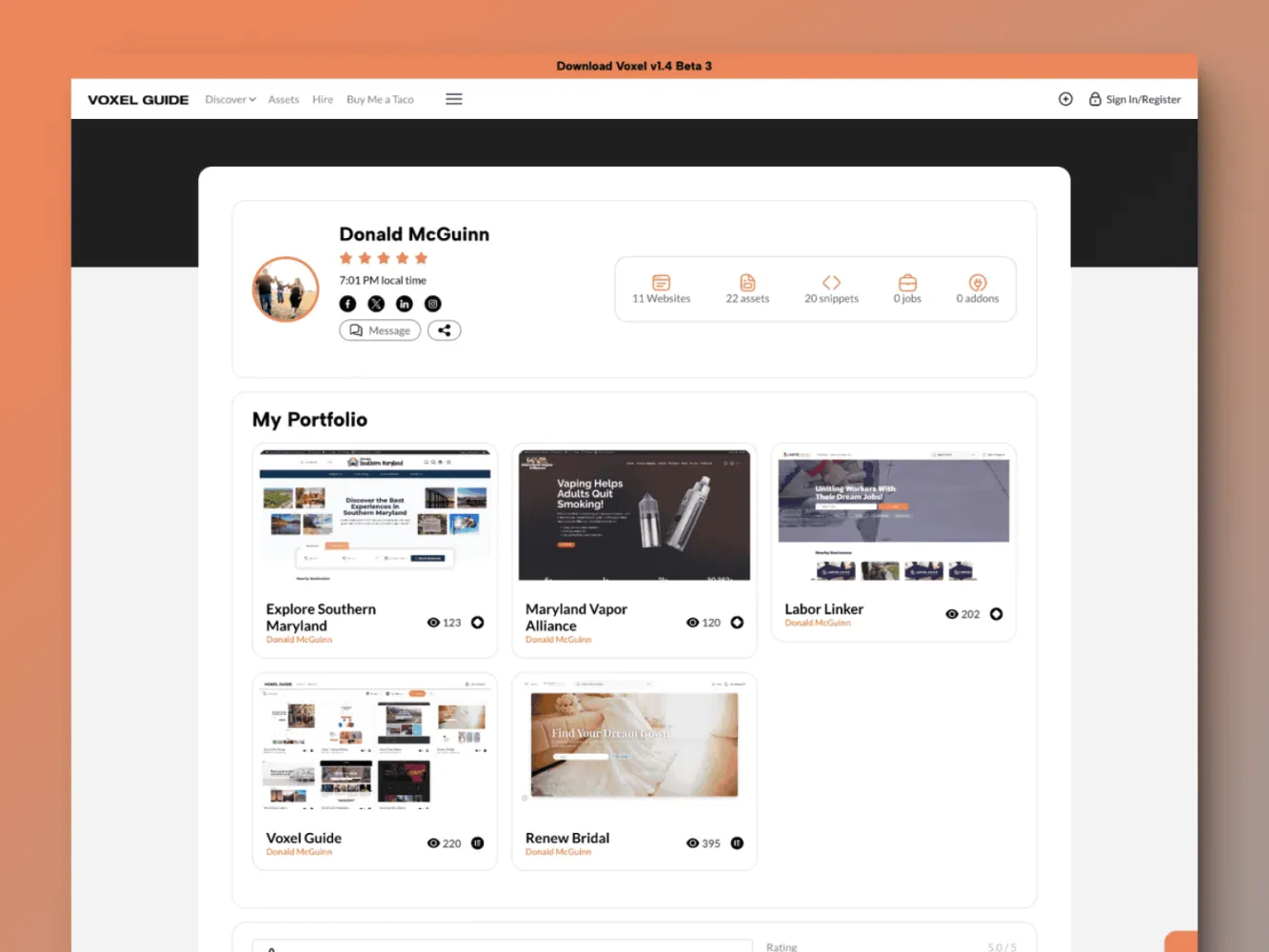 Voxel Guide Single Profile Template